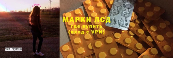 ПСИЛОЦИБИНОВЫЕ ГРИБЫ Краснотурьинск