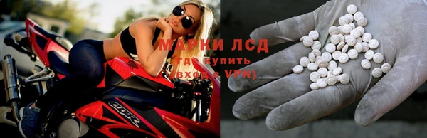 ПСИЛОЦИБИНОВЫЕ ГРИБЫ Краснотурьинск