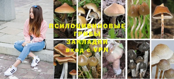 ПСИЛОЦИБИНОВЫЕ ГРИБЫ Краснотурьинск