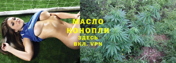 гидра Карпинск