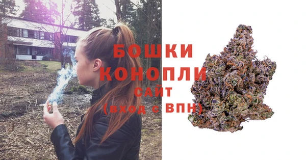 ПСИЛОЦИБИНОВЫЕ ГРИБЫ Краснотурьинск